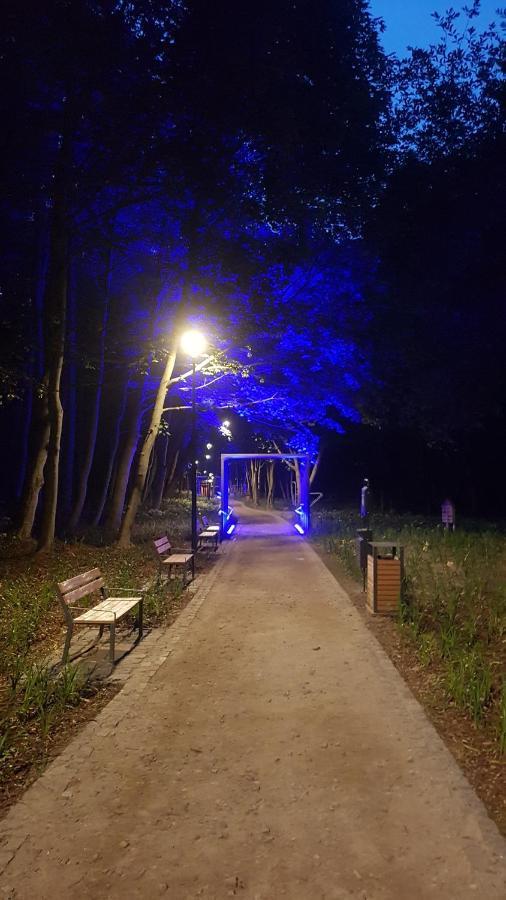 Las & Morze I Pokoje Leilighet Władysławowo